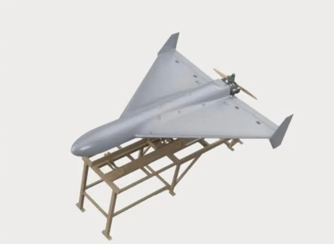 Delta wing aircraft